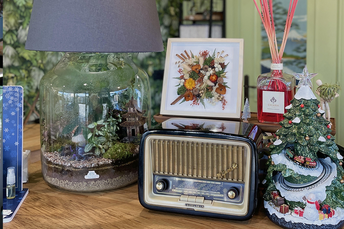 terrarium negozio